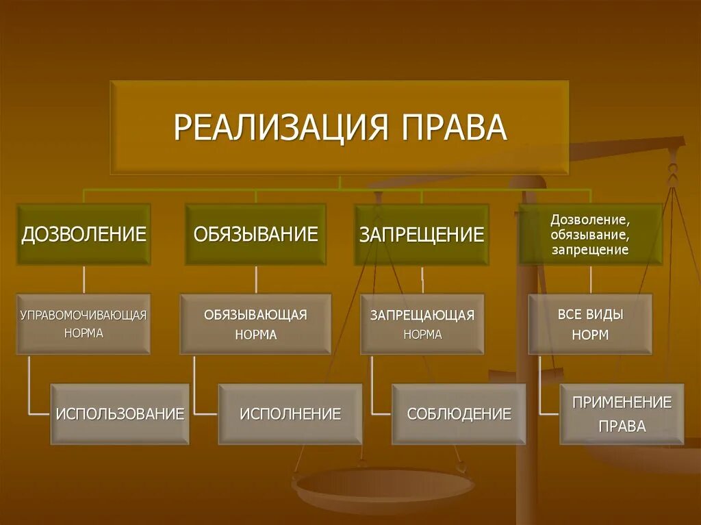 Формы реализации правовых норм.