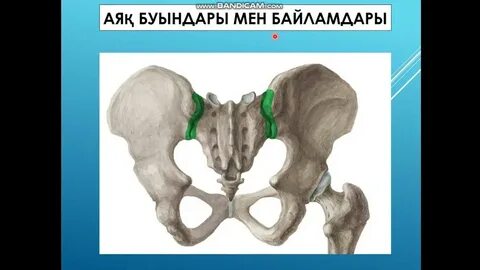 Лесбияндық секс