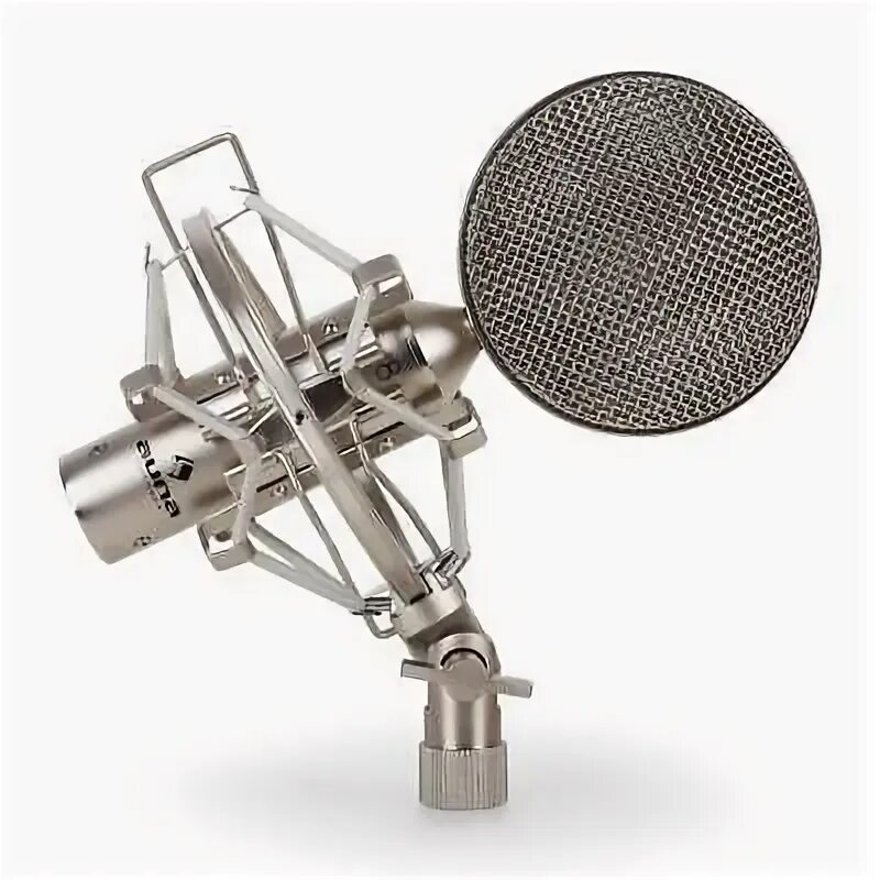 Envonix микрофон студийный. Микрофон audio-technica at2025. винтажный студийный микрофон. студийный микрофон на стойке. студийный микрофон винтаж.