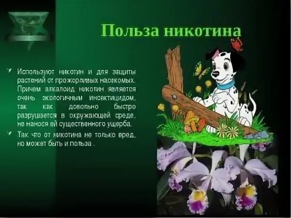 Никотин польза