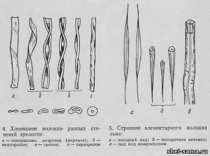 Поперечное сечение нити