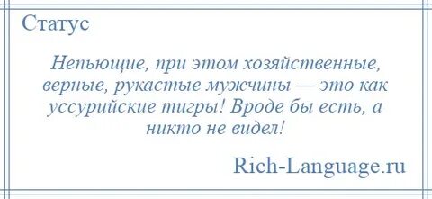 Понял твою шутку
