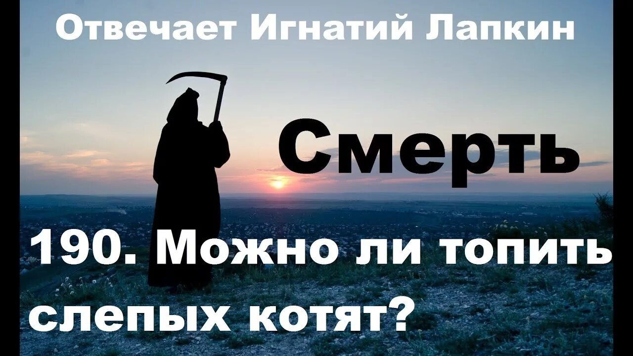 Топить котят это грех. Грешно ли топить котят.