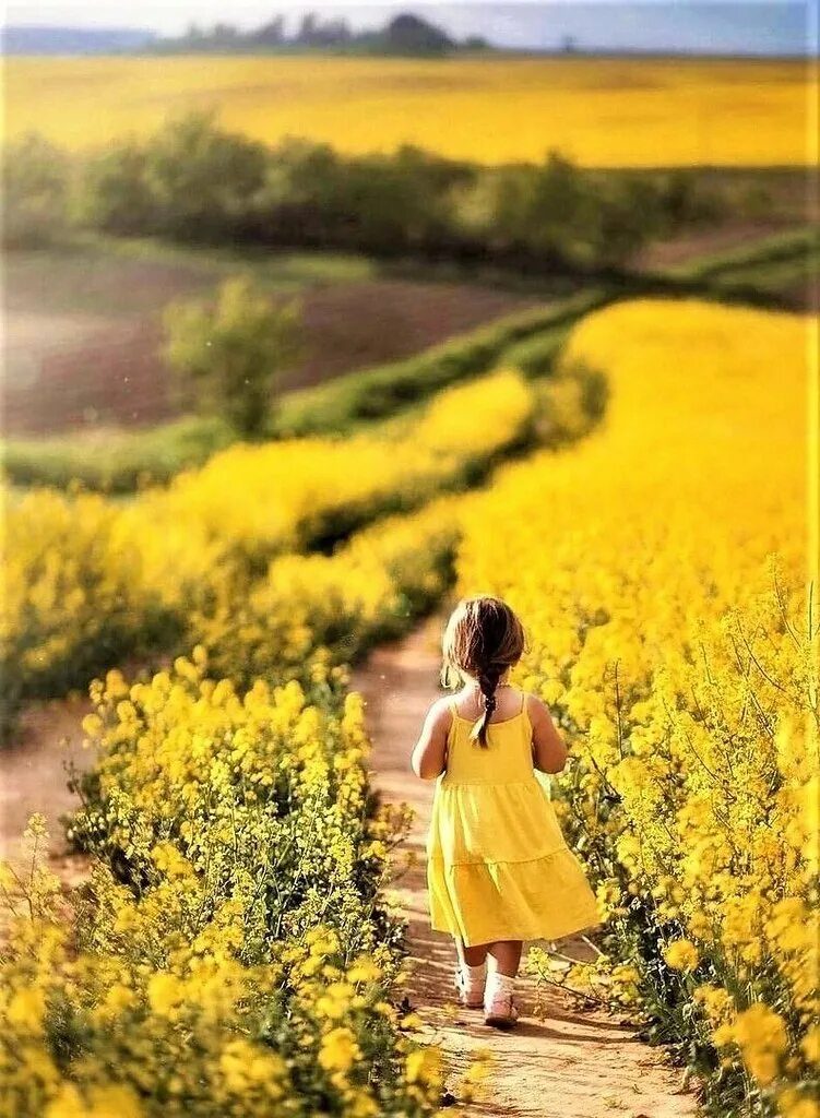 Пошло лето. Лето радость. Фотосессия в рапсовом поле. Желтый сарафан для девочки. Фотосессия в желтом поле.