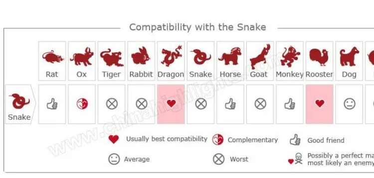 Коза и змея совместимость. Совместимость дракона с другими. Дракон совместимость с другими знаками. Дракон и змея совместимость. Дракон и свинья совместимость.