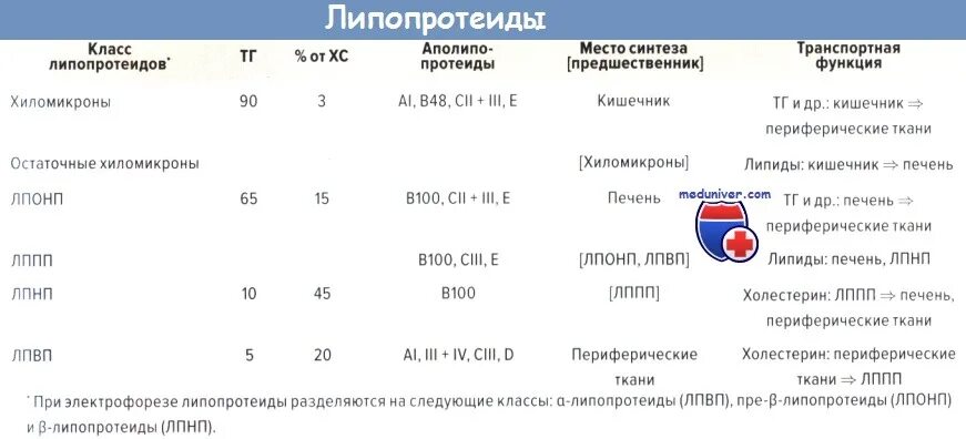 Липопротеид повышен у мужчин. Бета липопротеиды норма у детей. Норма бета липопротеидов в крови. ЛПНП место синтеза. B липопротеиды норма в единицах.