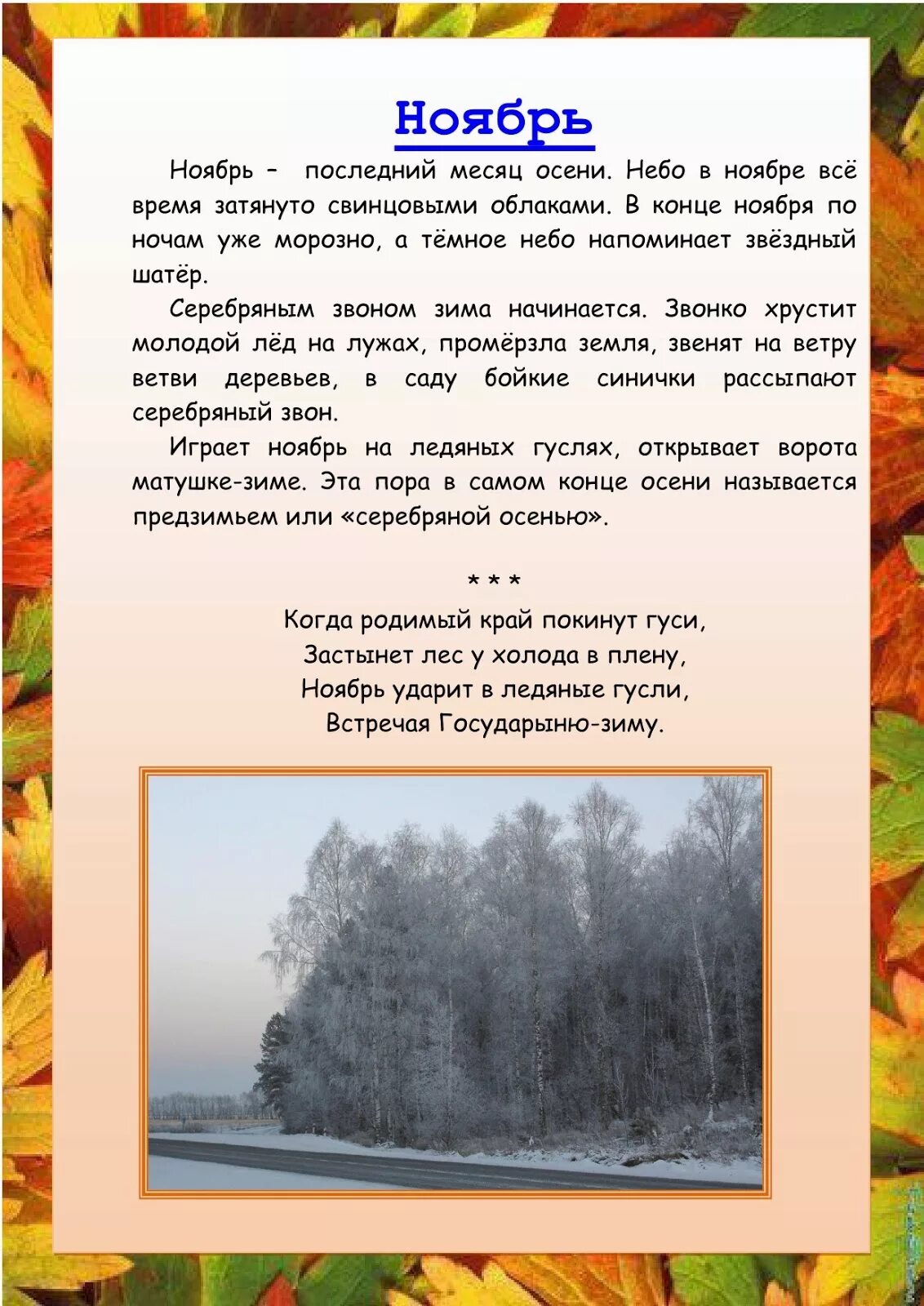 Тема месяца ноябрь