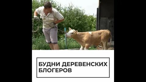 Деревенский блоггер
