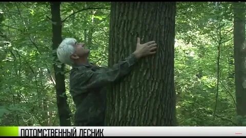 Сын лесника