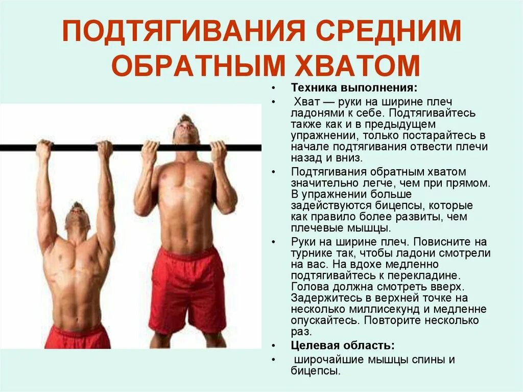 Подтягивания обратным узким. Подтягивания узким хватом мышцы. подтягивания обратным хватом. подтягивания на турнике какие мышцы работают. подтягивания параллельным хватом.