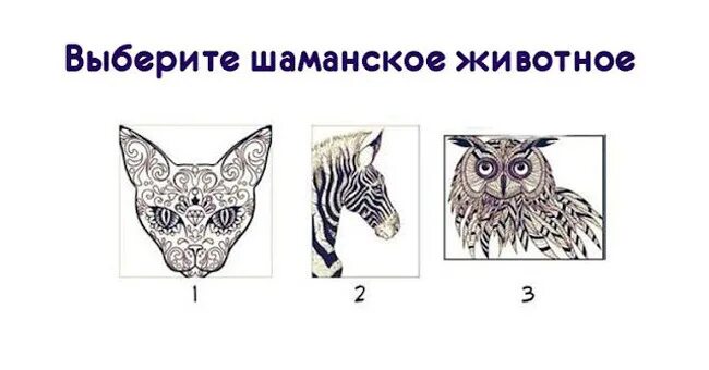 Тест выбери животного. Тест выбери животное крокодил. определить шаманское животное новосибирск. выбери своего шамана.