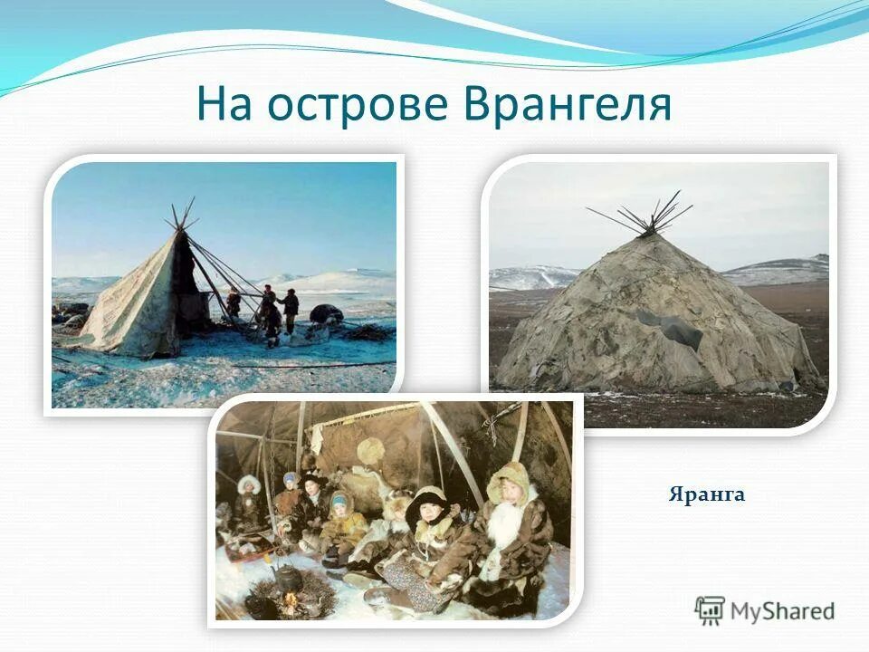 Яранга жилище. Яранга современник. Яранга – национальное жилище народов чукотки. Какой из перечисленных народов использует ярангу. Яранга и одежда турка по цветам.