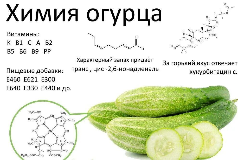 Сколько соли в свежем огурце. Из чего состоит огурец. Химический состав огурца формула. Химическая формула огурца. Формула огурца в химии.