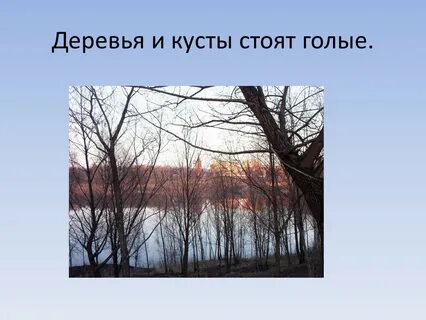 Тут осинки и кусты у куста стоит