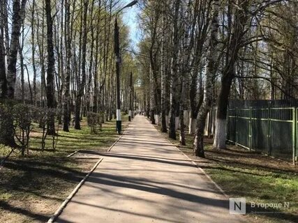 Работа в парке швейцария нижний