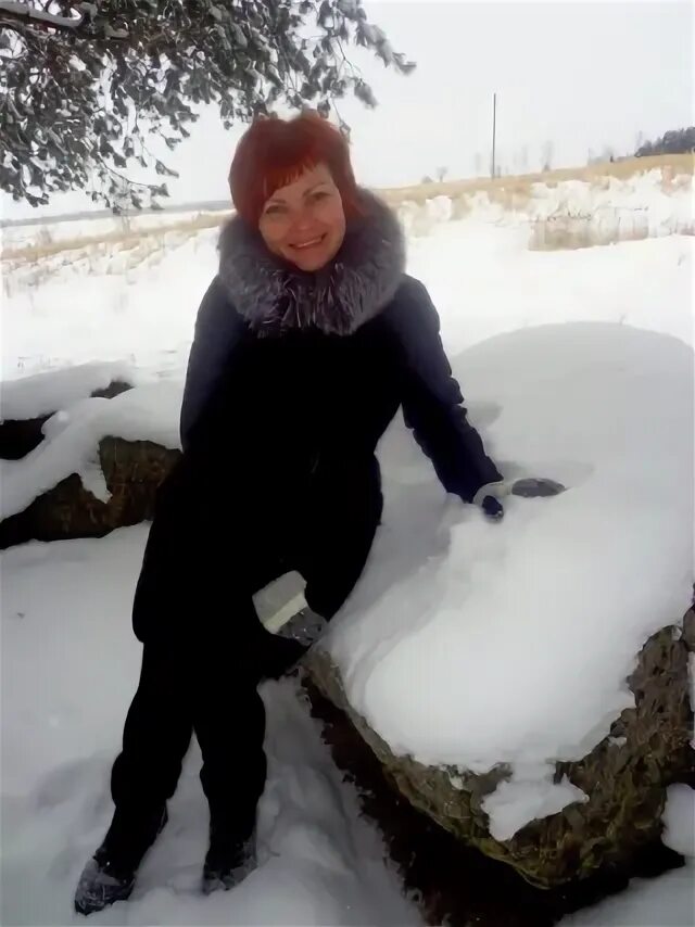 Лис витебск. Лис витебск