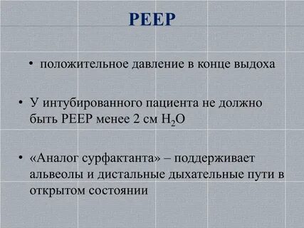 Пдкв