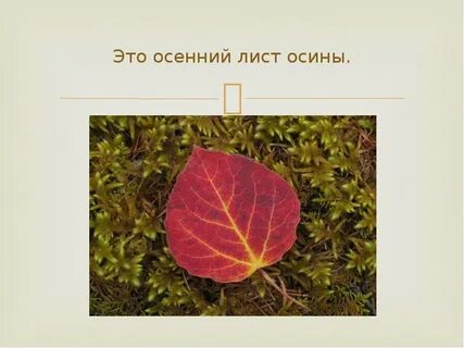 Какого цвета листик