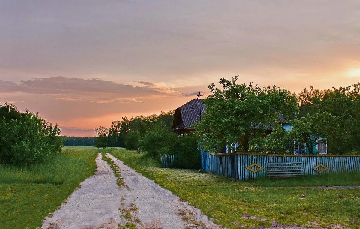 Деревня Сербишино природа. Сельский «дорога к дому»Ленинградская область. Деревня природа Проселочная дорога. Дорога в деревне. Картинка на рабочий стол деревня