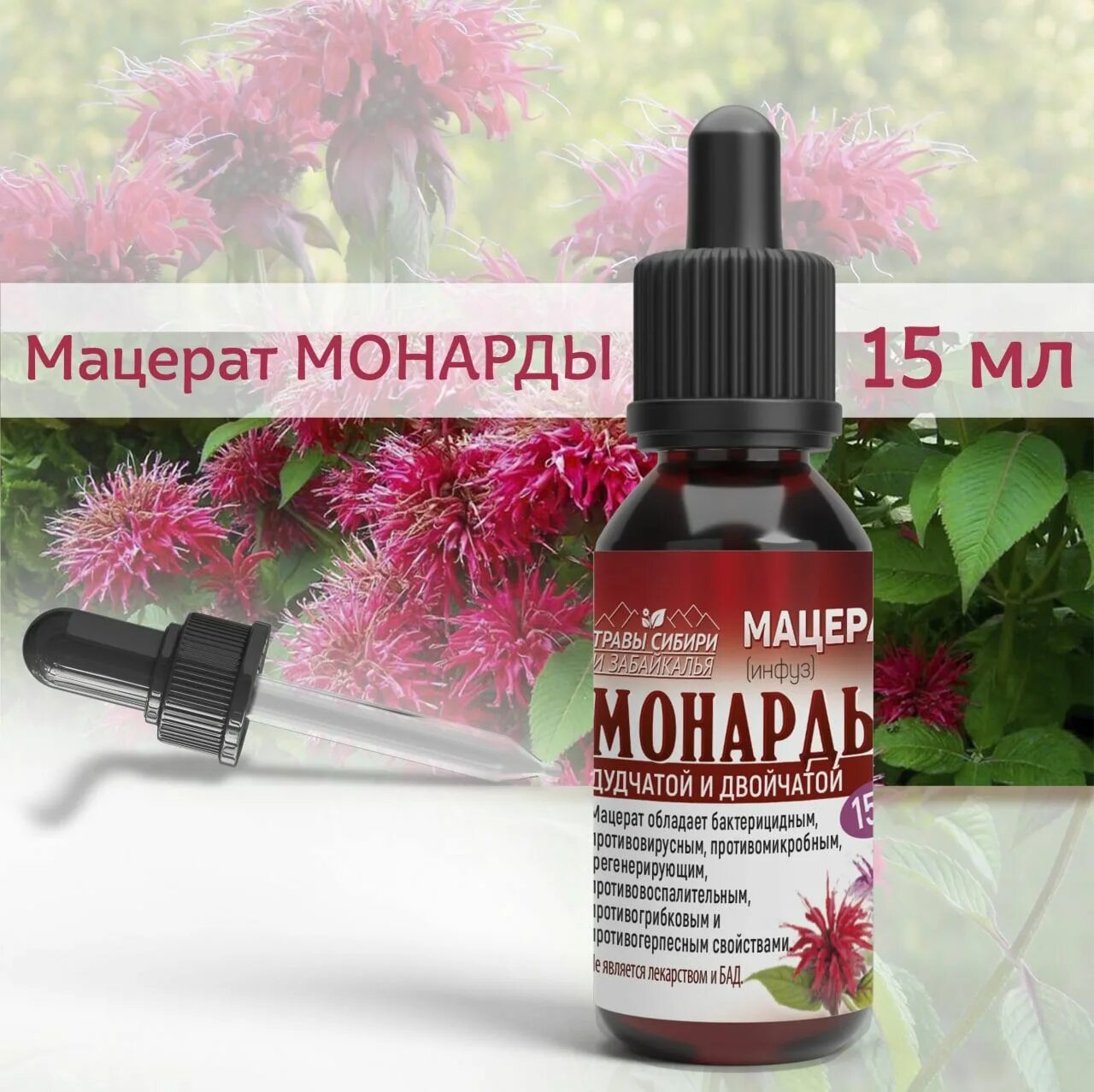 Монарда для волос как использовать. Монарда масло. монарда дудчатая. масло манадры. масло травы монарды.