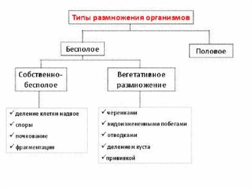 Размножение живых организмов. Бесполое размножение живых организмов. Типы размножения живых организмов. Способы размножения живых организмов.