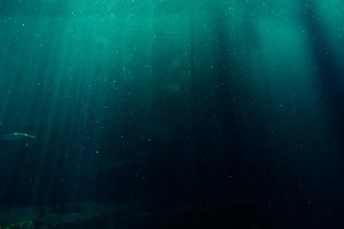 Толща воды в океане. Океаны. Глубина. Морские глубины. Океан под водой. Темное дно океана.