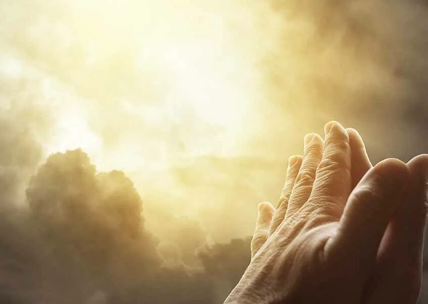 To promise the earth. Человек молится. Руки в молитве. Человек молится Богу. Ладони Бога.