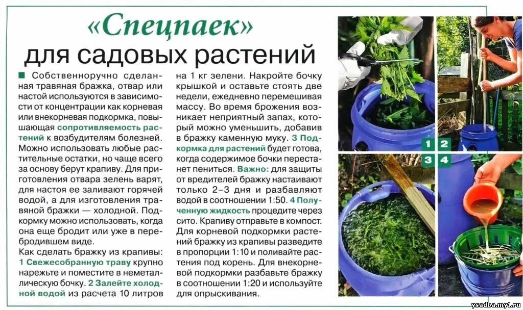 Как часто подкормить