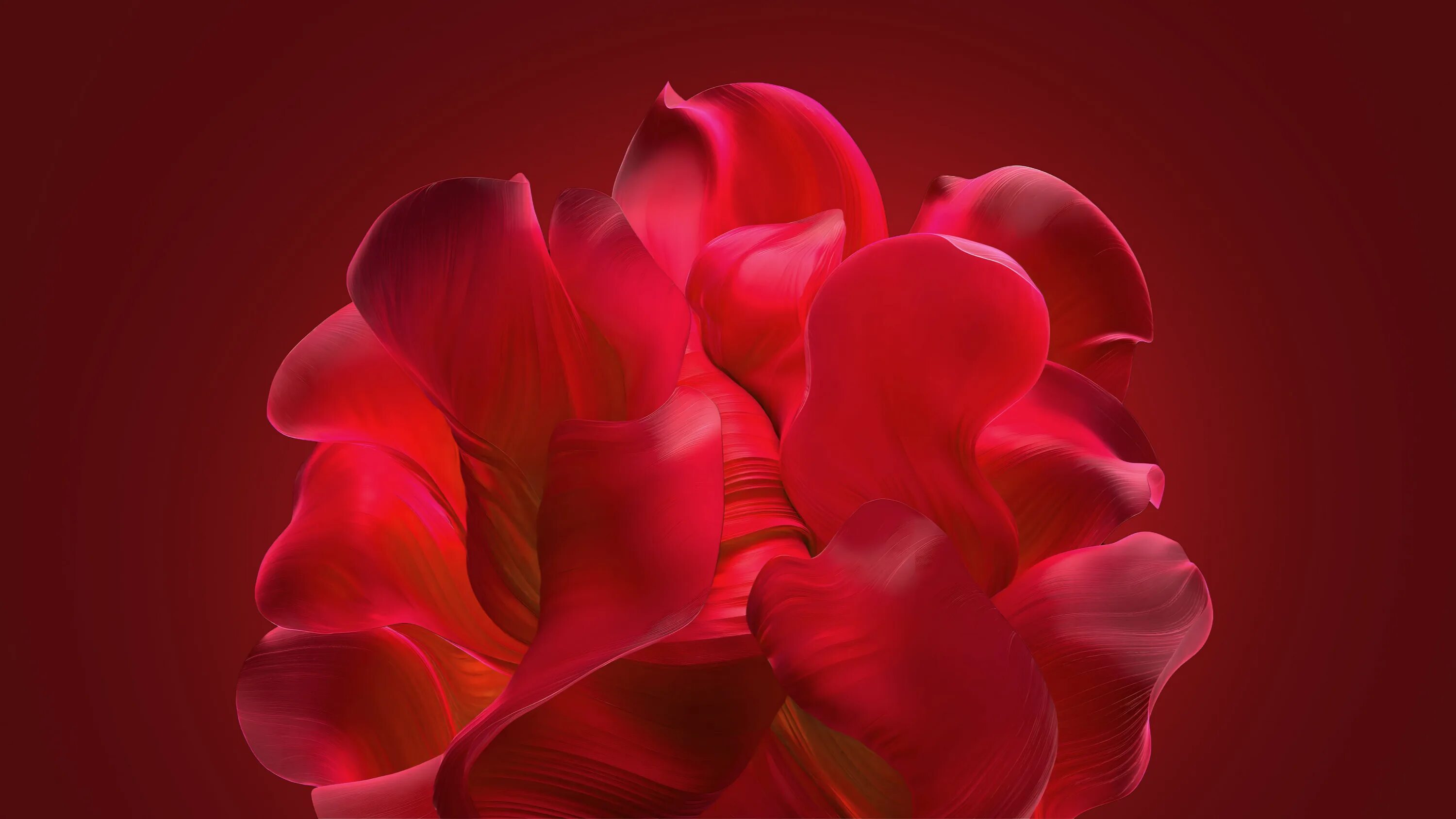 Windows 11 red. Красные обои. красный лепесток. windows 11 красный. красивые обои для windows.