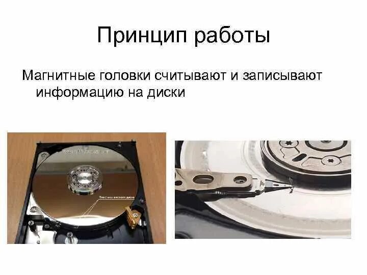 Объем жесткого магнитного диска. Жесткий магнитный диск принцип записи. Устройства внешней памяти дискета скорость чтения записи информации. Записанная информация на магнитном диске. Типы накопителей на магнитных дисках.