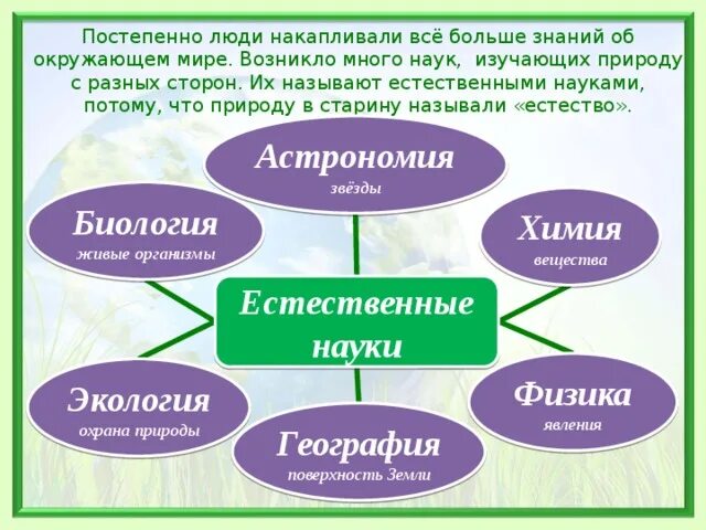 Назовите 2 естественные науки. Науки в окружающем мире. Науки изучающие окружающий мир. Название наук изучающих природу. Наука о природе предмет изучения.