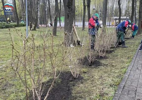 Бабушкинский парк 9 мая 2024