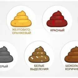 Уход за каллами. К чему снится калл женщине. К чему приснилась своя свадьба. К чему снится кошачье какашеи. Туалет во сне к чему снится.