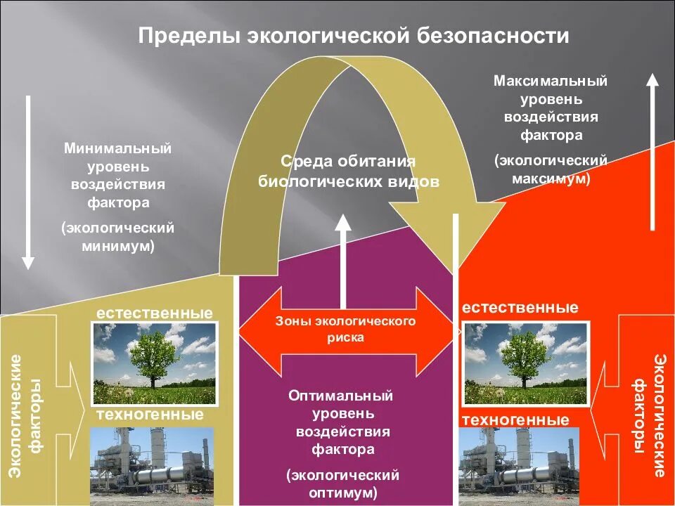 Составляющие окружающей среды