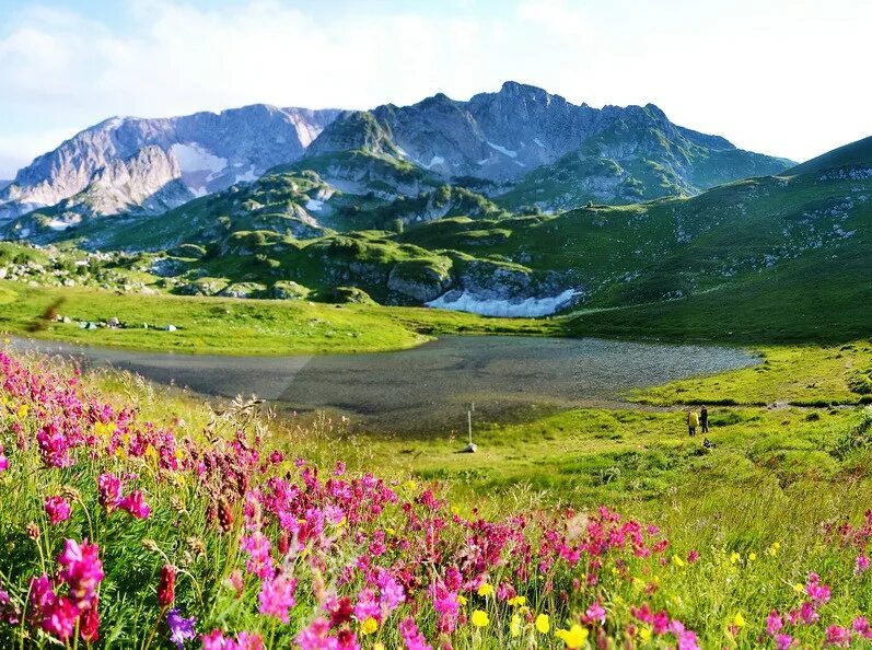 Альпийские луга Теберды Paysage