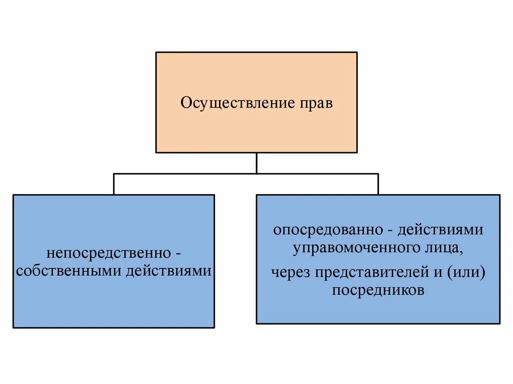 Осуществление гражданских прав. Способы осуществления и защиты гражданских прав. Способы осуществления гражданских прав и обязанностей. Принципы осуществления гражданских прав.