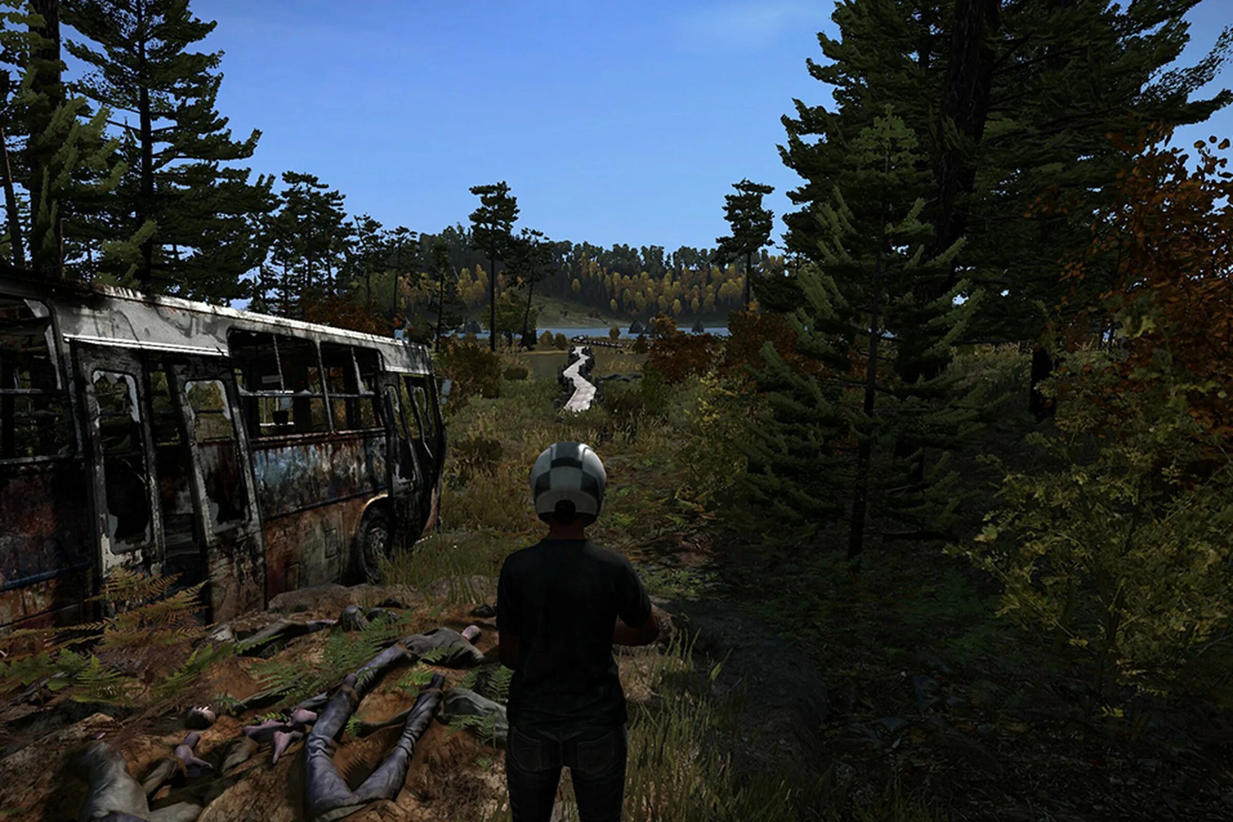 Купить игру dayz. Дейз игра. Day z 2013. Day z игра 2013. Игра Survival DAYZ.