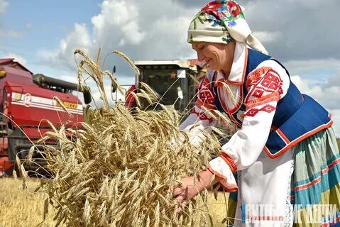 Начало жатвы в старину называли зажинки заверши рисунок окружающий