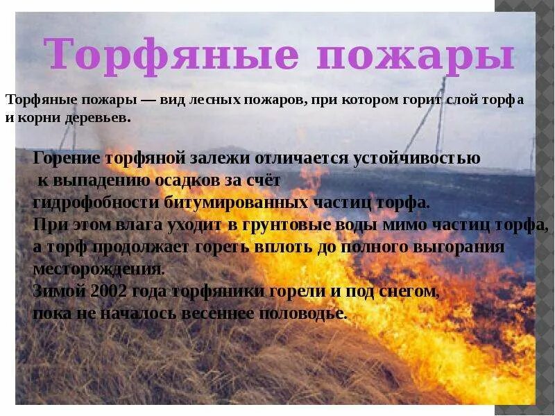 Лесные и торфяные пожары сообщение. Торфяной пожар характеристика. лесные и торфяные пожары. виды торфяных пожаров. характеристика лесных и торфяных пожаров.
