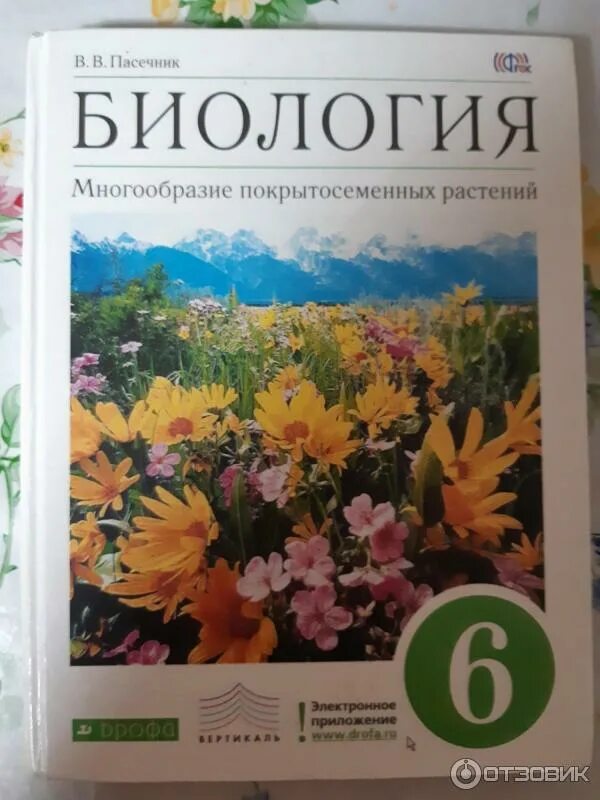 Линия жизни пасечник 6. Биология 6 класс учебник Пасечник. Книга биология 6 класс Пасечник. Учебник по биологии 6 класс Пасечник. Учебник Пасечник 6 класс.