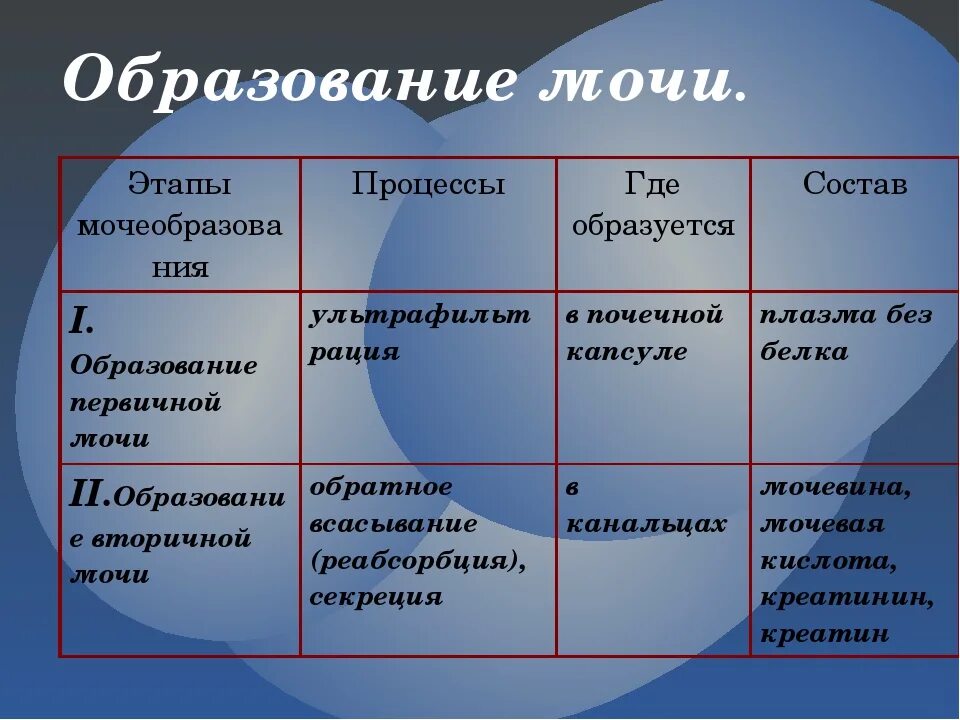 Изобразите схематично этапы образования мочи. Этапы образования мочи схема. Этапы образования мочи 8 класс биология. Образование мочи таблица биология. Этапы процесса мочеобразования.