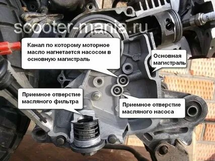 Где находится мопед