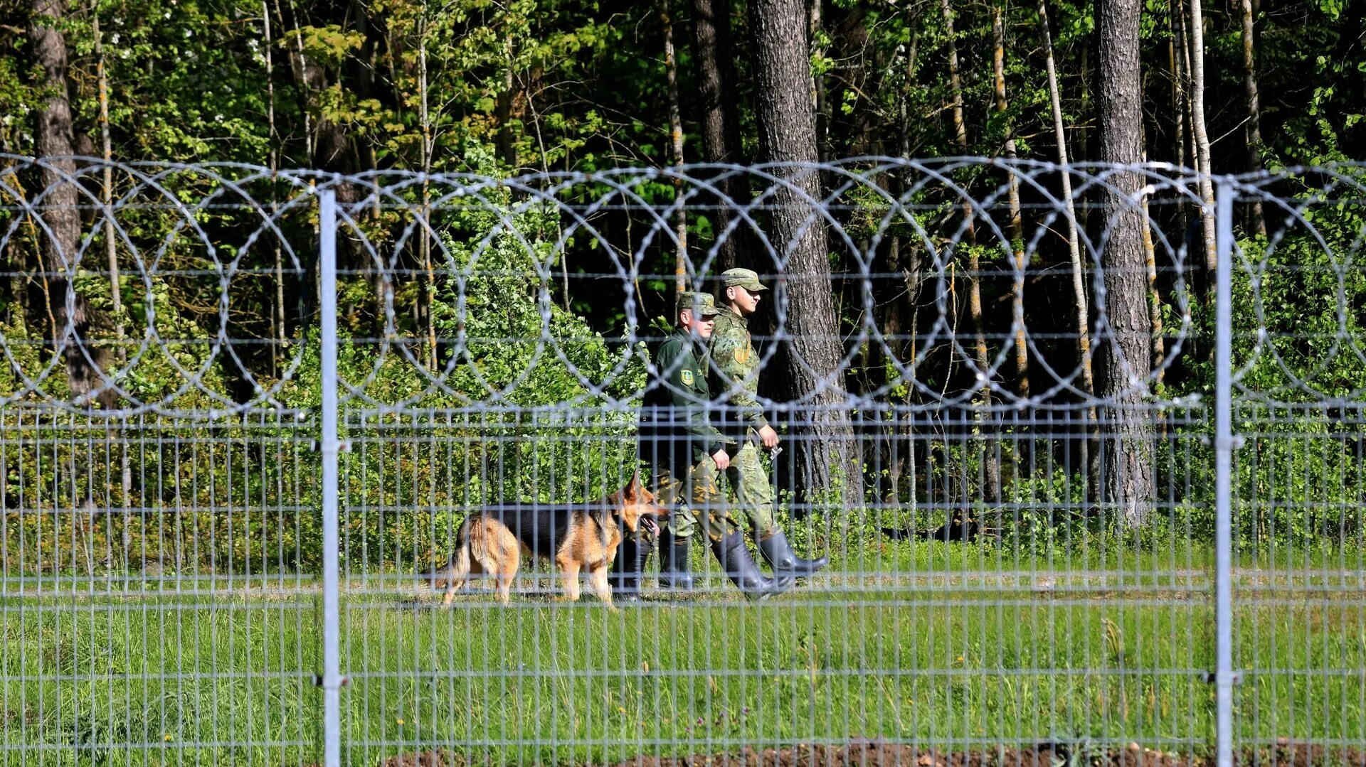 Забор на границе Литвы и Беларуси. Железный забор на границе Польши и Белоруссии. Литва забор на границе с Белоруссией. Пограничники на границе с Белоруссией. Группировка на границе с белоруссией