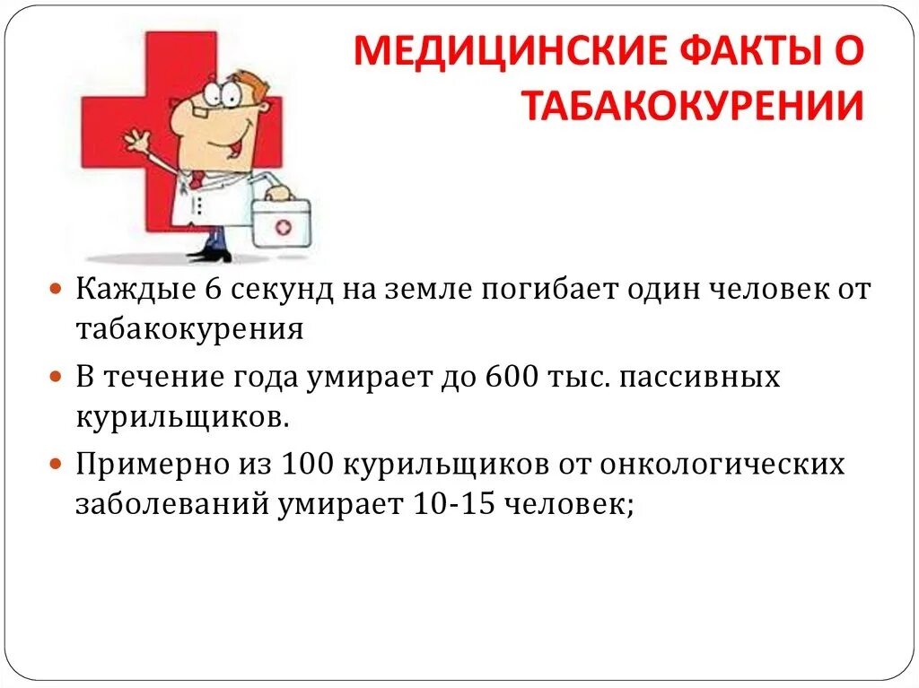 В мире полезной информации