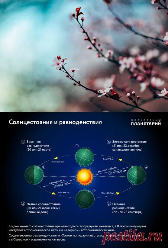 День весеннего равнодейс. Равноденствие и солнцестояние. Весенние равноденствие солнцестояние. Зимнее солнцестояние Весеннее равноденствие. Весеннее равноденствие в 2024 году картинки