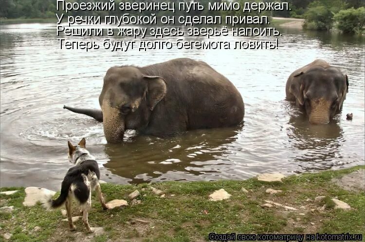 пройти мимо. кадры из фильма предложение с сандрой баллок. проходите мимо картинки. сумей полюбить одну. девушка оборачивается.