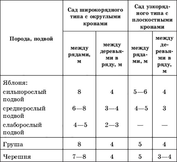 На каком расстоянии сажать саженцы. Расстояние между плодовыми деревьями при посадке. Расстояние между деревьями при посадке плодовых деревьев. Размер кроны плодовых деревьев и кустарников таблица. Схема посадки плодовых деревьев таблица.