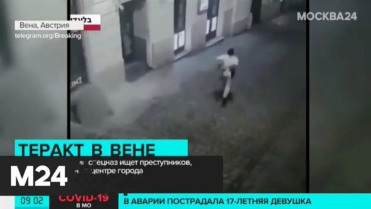 Сколько погибших в теракте в москве