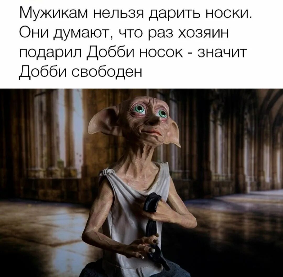 Добби подарили носок. Добби хозяин. хозяин добби свободен. хозяин дал добби носок добби свободен. добби свободен носок.
