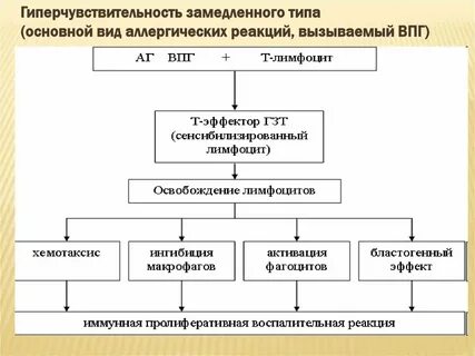 Виды механизмов развития